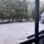 {"FR":"Cour","EN":"Backyard"}