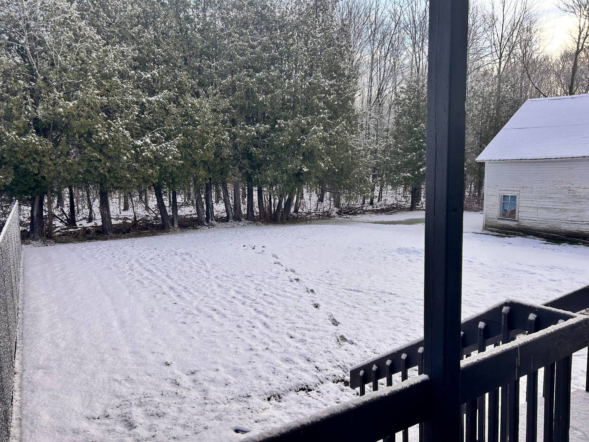 {"FR":"Cour","EN":"Backyard"}