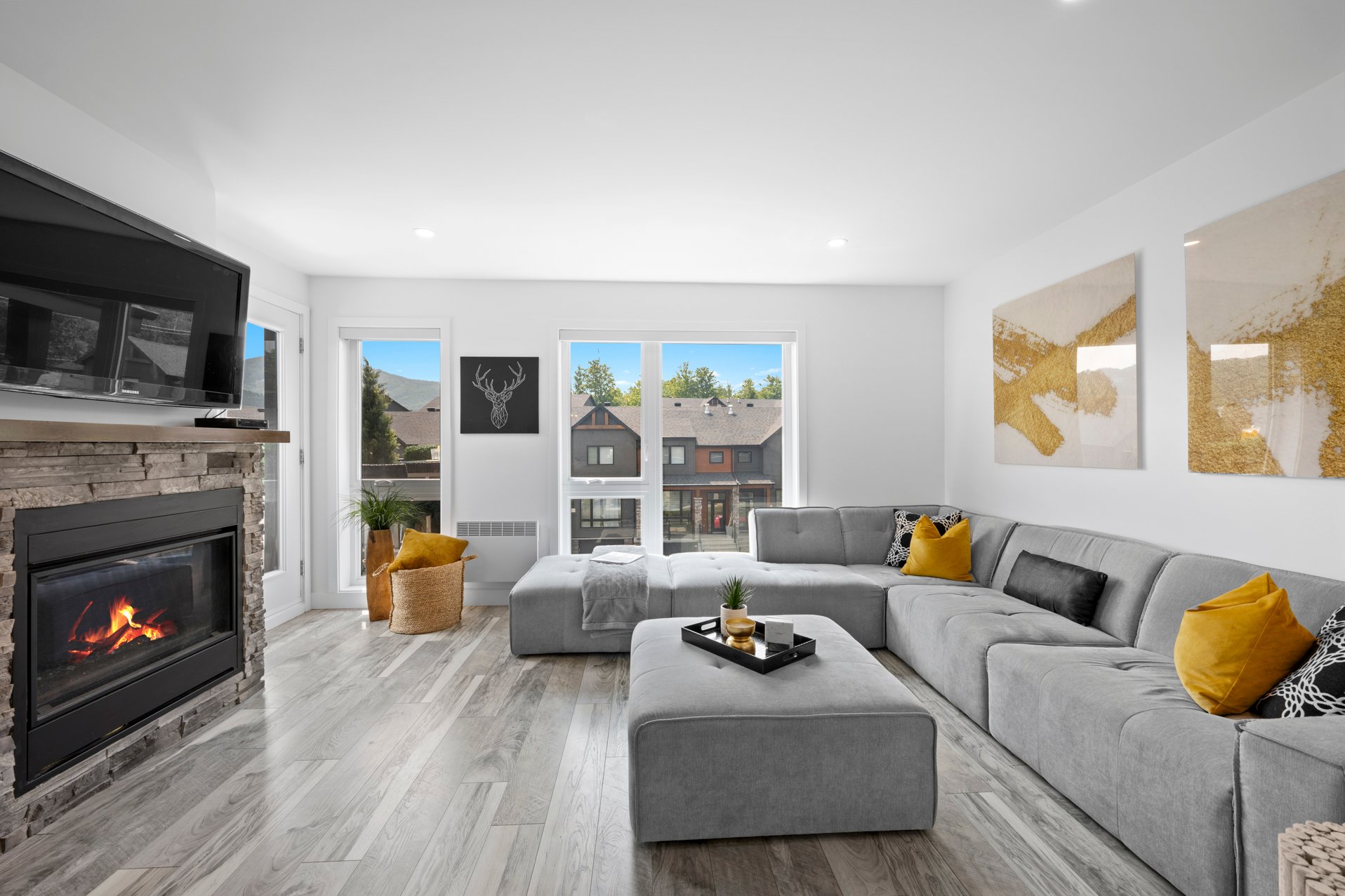 {"FR":"Salon","EN":"Living room"}